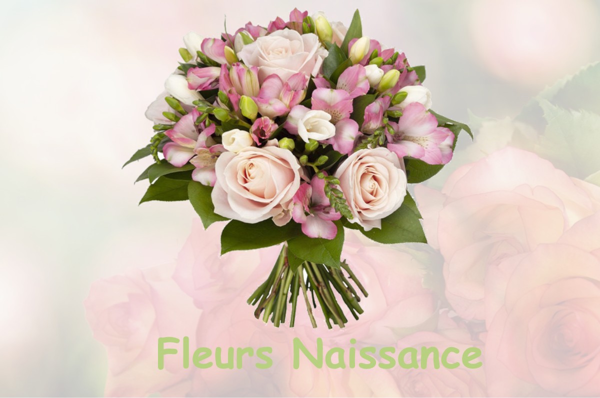 fleurs naissance SAINT-PIERRE-D-ALVEY